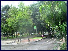 Zona Viva - Avenida La Reforma